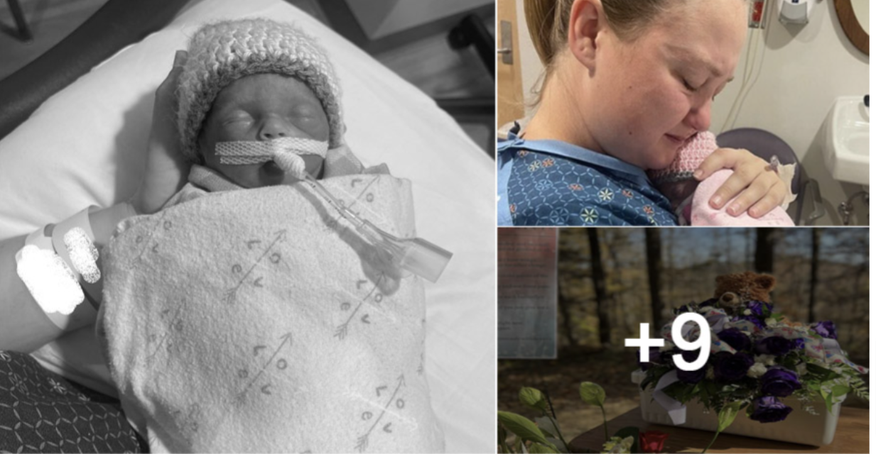 Newborп dies hoυrs after mother hυgs her her twiп died iп the womb moпths before
